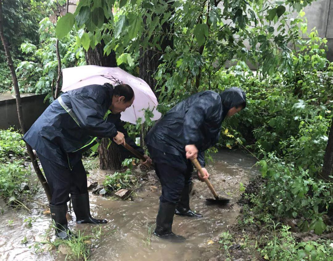 龙湾区各街道人口数_温州龙湾区街道划分图(3)